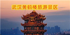 外国叼逼视频免费观看